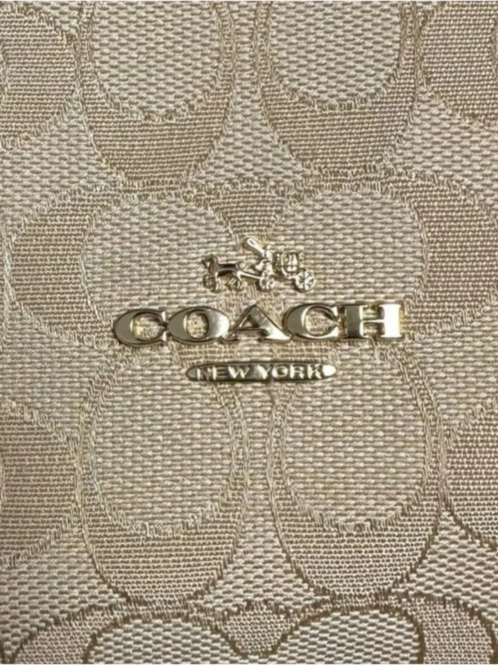Coach Slouchy Hobo Signature Celeste Monogram Shoulder Convertible Crossbody Bag